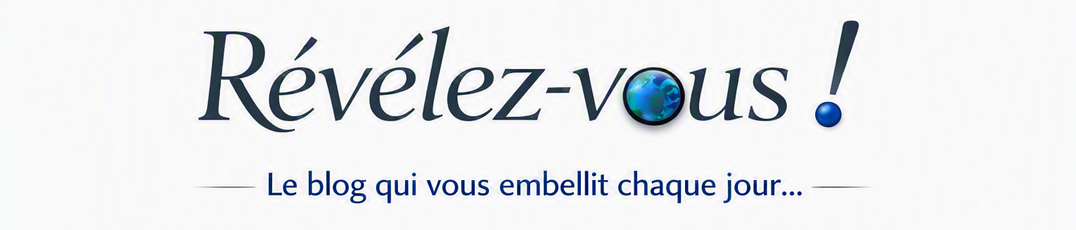 logo du blog (1)